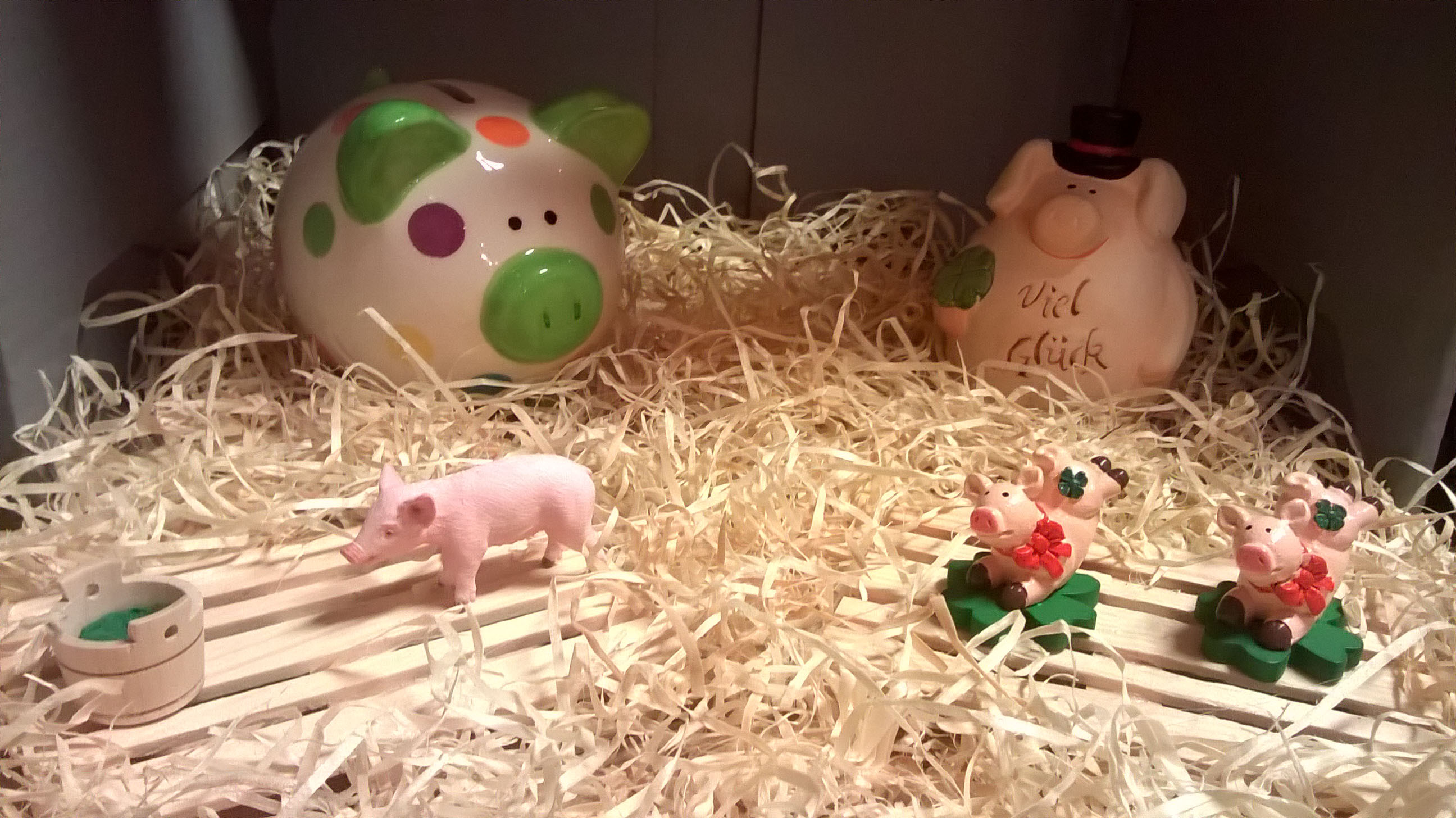 50 Jahre Elmar: Unser passend schweinisches Geschenk